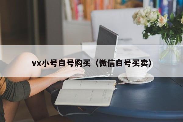 vx小号白号购买（微信白号买卖）